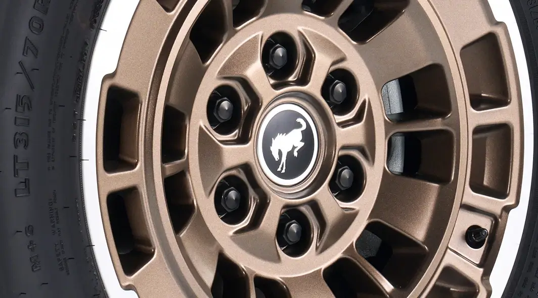 Black Lug Nuts