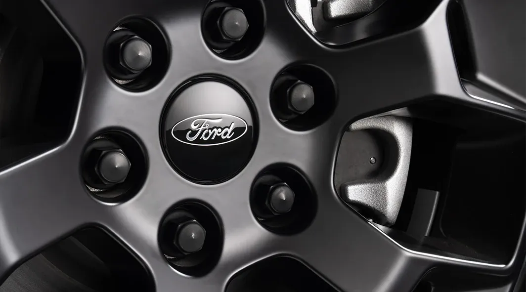 Black Lug Nuts