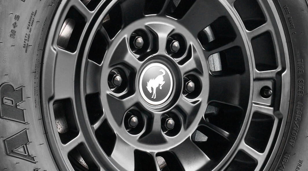 Black Lug Nuts