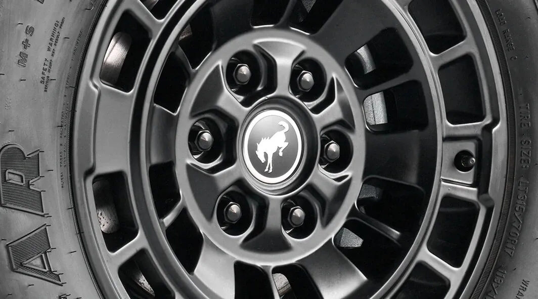 Black Lug Nuts