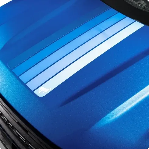 Blue Free Wheeling Body Graphic Kit
